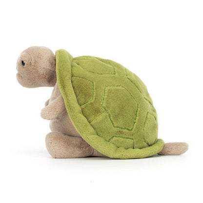 Mr. Timmy Turtle