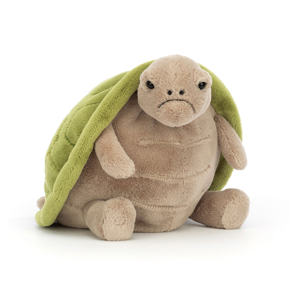 Mr. Timmy Turtle